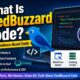 code feedbuzzard