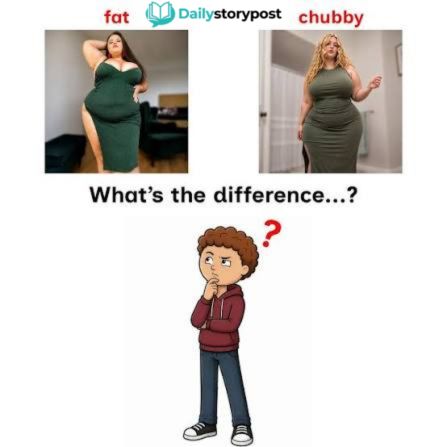 chubby vs fat