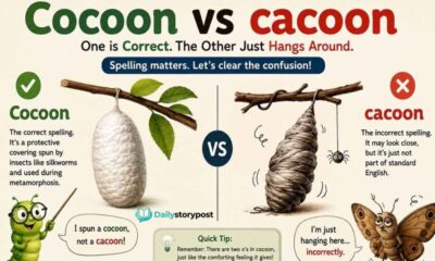 cacoon or cocoon