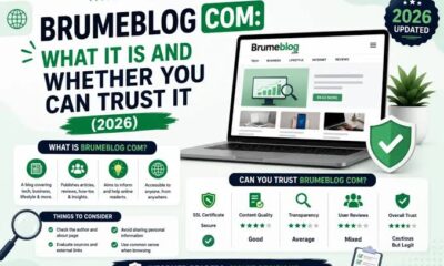 brumeblog com