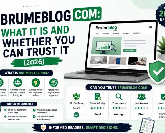 brumeblog com